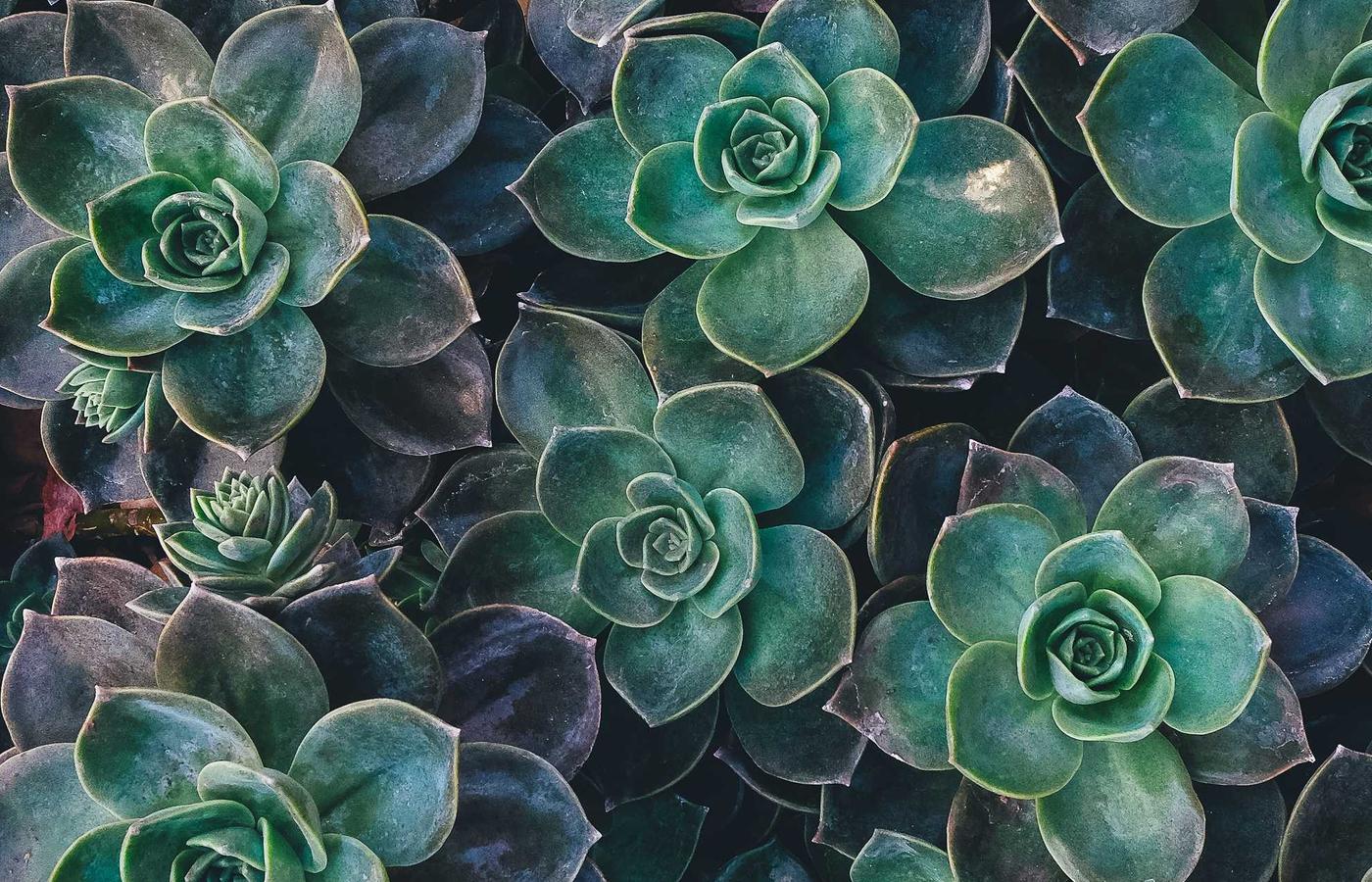 Тазалау құралдары бар кәсіби маман